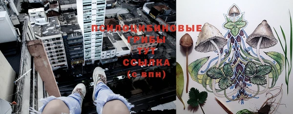 крисы Гусев