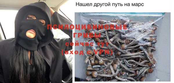 крисы Гусев