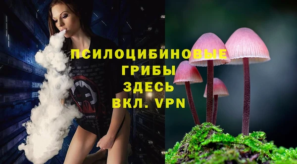 метадон Гусиноозёрск