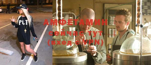 сатива Дмитровск