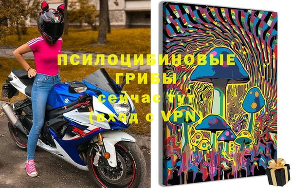 метадон Гусиноозёрск