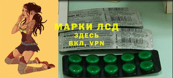 крисы Гусев